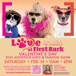“Love at First Bark” Dog Adoption Expo and Fashion Show Competition at Galleria Fort Lauderdale