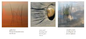 Hidden Glimmers: Weaving Contemplative Photography and Haiku