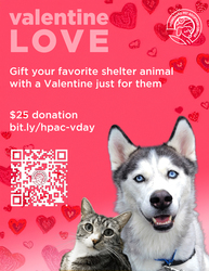Valentine Love at Homeward Pet