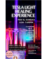 Tesla Light Healing Experience