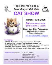 Cat Show!