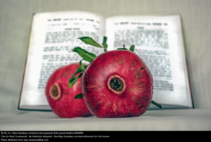 Guided Discussion: Contemporary Jewish Philosophy