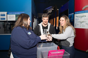 Sharks After Dark - Mission in Motino