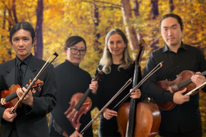 Strings Chamber Ensemble Series “Valentine’s Concert”