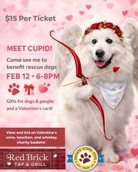 Valentine’s Cupid Mingle