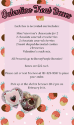 BunnyPeople's Valentine's Day Treat Boxes