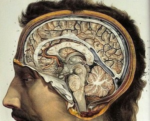 Profs & Pints DC: Our Bodies, Our Minds