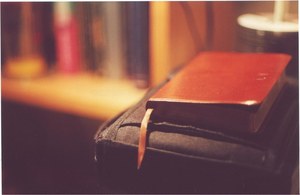 Seminar: A Genuine, Equal and Passionate Love in the Biblical Book The Song of Songs