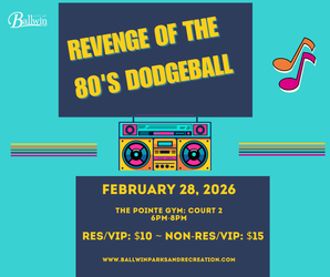 Revenge of the 80’s - Adult Dodgeball Night