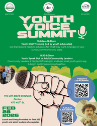 Youth Voice Summit