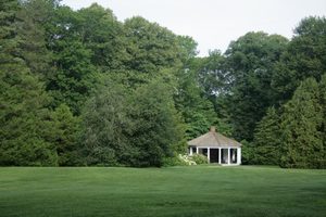 The Chamaecypris Collection Tour