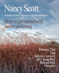 Native Gardening 101: How To Get Started With Native Gardening with Nancy Scott
