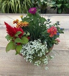 Color Bowl Workshop