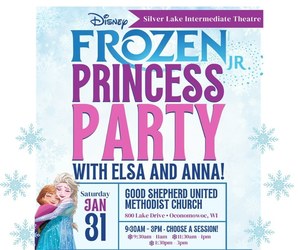 Frozen Princess Party