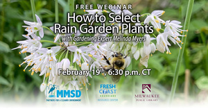 FREE WEBINAR: How to Select Rain Garden Plants