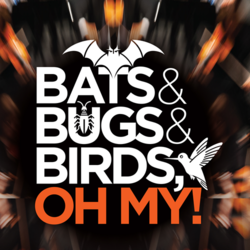 Marin Symphony Pops: Bats & Bugs & Birds, Oh My!