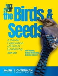 Birds & Seeds