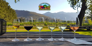 GreenMarket | Pop-Up Wine Workshop - Willamate Valley Uncorked