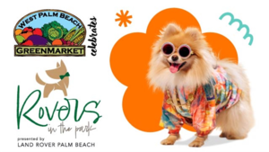 GreenMarket | Rovers in the Park