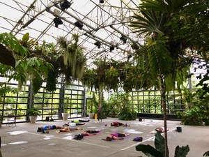 Heart in Harmony Sound Healing at the San Diego Botanic Garden