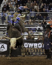 PRCA Xtreme Bulls Tour