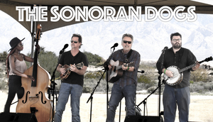 The Sonoran Dogs