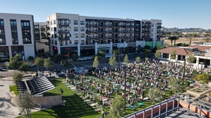 Balance, Burn and Bubbles