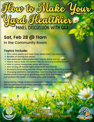 How to Make Your Yard Healthier