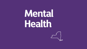 New York State Behavioral Health Services Advisory Council and Committee Meetings