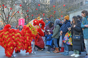 Lunar New Year Celebration