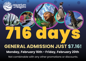 716 Days at the Aquarium