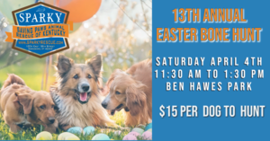 Easter Bone Hunt