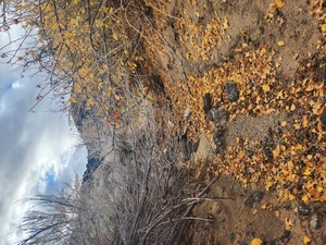 Guided Hike of Rinconada Canyon