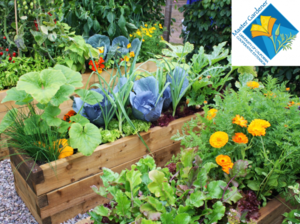 Spring Seed Swap and Plant Exchange