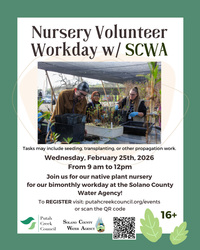 Bi-Monthly Nursery Volunteer Day w/ SCWA