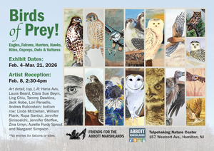 Birds of Prey! Art Exhibit Feb 4-March 21