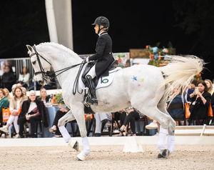 Brooke USA's Divertimentos & Dressage