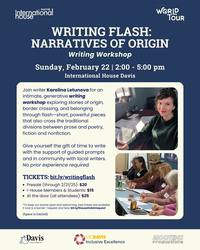 Writing Flash: Narratives of Origin