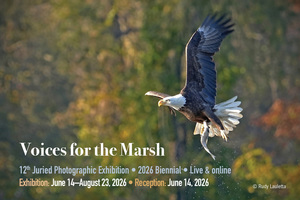 Voices for the Marsh 12th Juried Photographic Exhibition