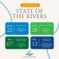 State of the Rivers: Chester