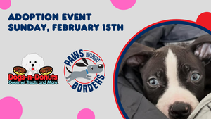 Adoption Event with Paws without Borders