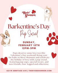 River Shannon Barkentine's Day Pup Social
