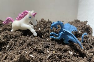 Mythical Terrariums: Kids Workshop at the Botanical Gardens