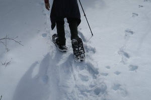 Sunday Snowshoe with George at Landis