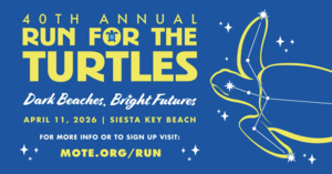 40th Annual Run for the Turtles