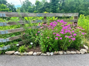 President's Day Creek Litter Clean Up