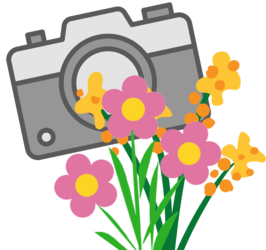 Garden Photography: The Basics