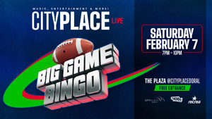 Big Game Bingo Night