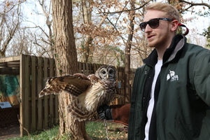 Raptors of the Potomac
