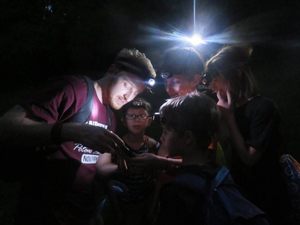 Night Hike and Campfire - Nocturnal Wildlife